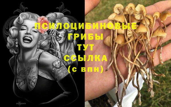 наркотики Медвежьегорск