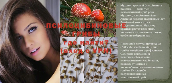 герыч Мегион