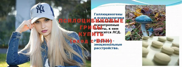 СК Магас