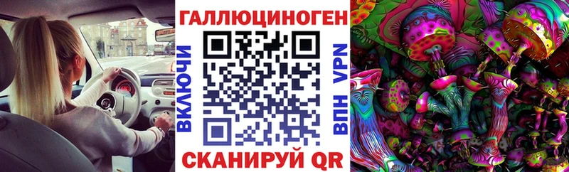 купить наркотик Осташков Псилоцибиновые грибы MAGIC MUSHROOMS